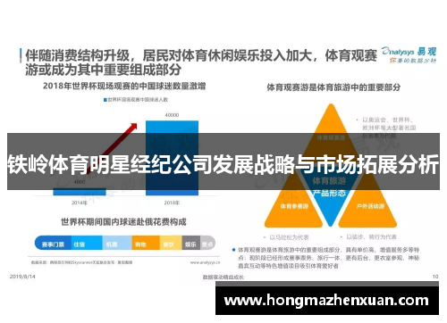 铁岭体育明星经纪公司发展战略与市场拓展分析